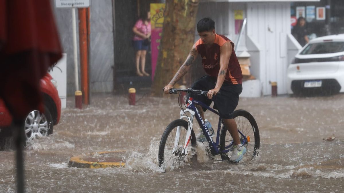 El pronóstico asegura que esta semana en Mendoza llueve. El pronóstico asegura que esta semana en Mendoza llueve.