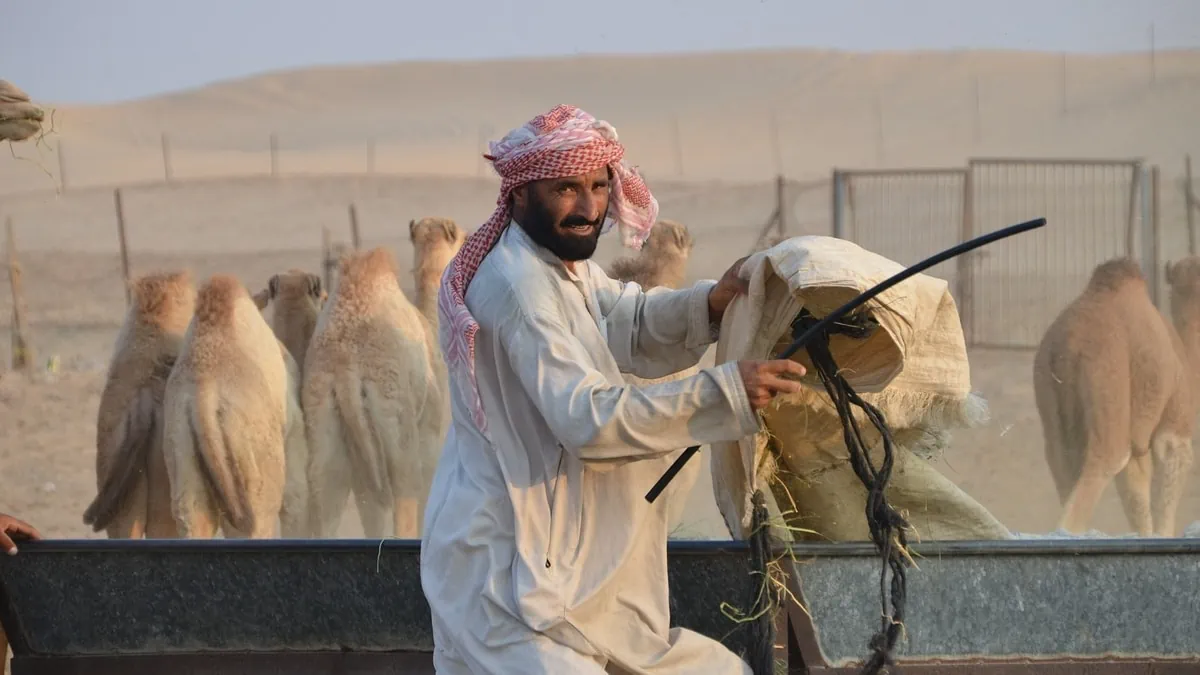 Los apellidos de origen árabe que circulan en Argentina. Los apellidos de origen árabe que circulan en Argentina.
