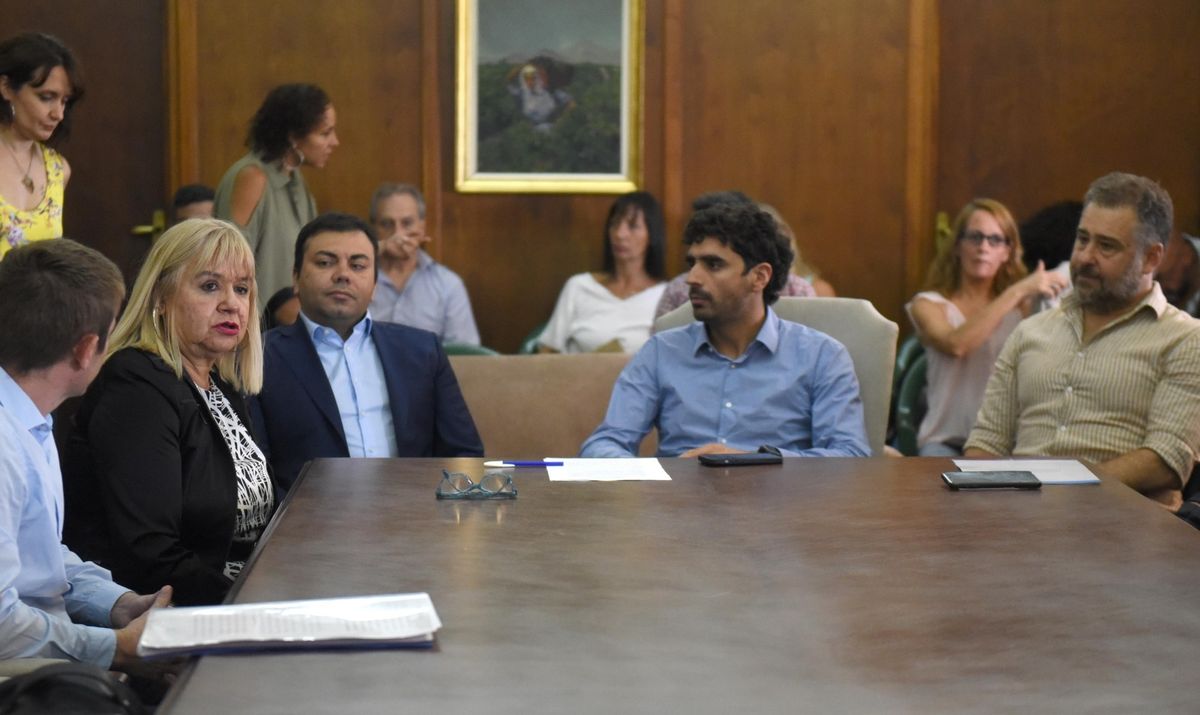 Mónica Nofal, directora de Defensa del Consumidor dio recomendaciones para usar estas plataformas. Mónica Nofal, directora de Defensa del Consumidor dio recomendaciones para usar estas plataformas.