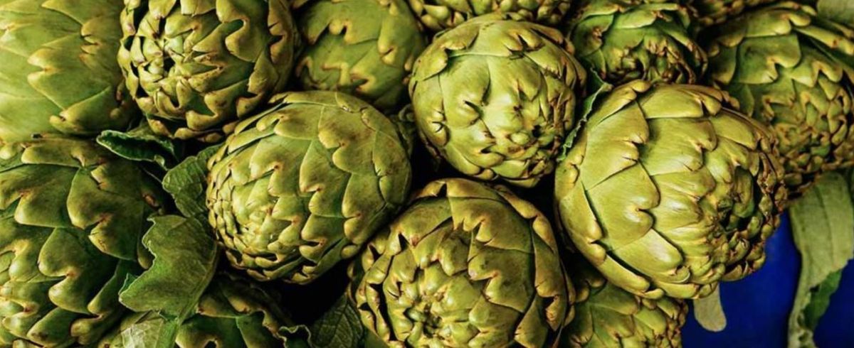 Beneficio de comer alcauciles Beneficio de comer alcauciles