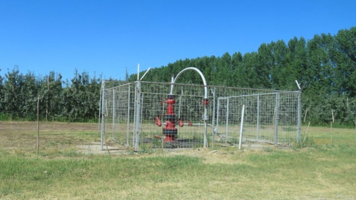 Pozo petrolero rodeado de manzanos. (Foto: Sabrina Pozzi) Pozo petrolero rodeado de manzanos. (Foto: Sabrina Pozzi)