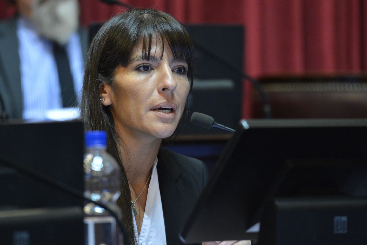 La diputada radical por Mendoza Pamela Verasay criticó a los peronistas por el reconocimiento de ocupación de tierras del Sur de Mendoza a mapuches. También pidió información al Poder Ejecutivo Nacional.
