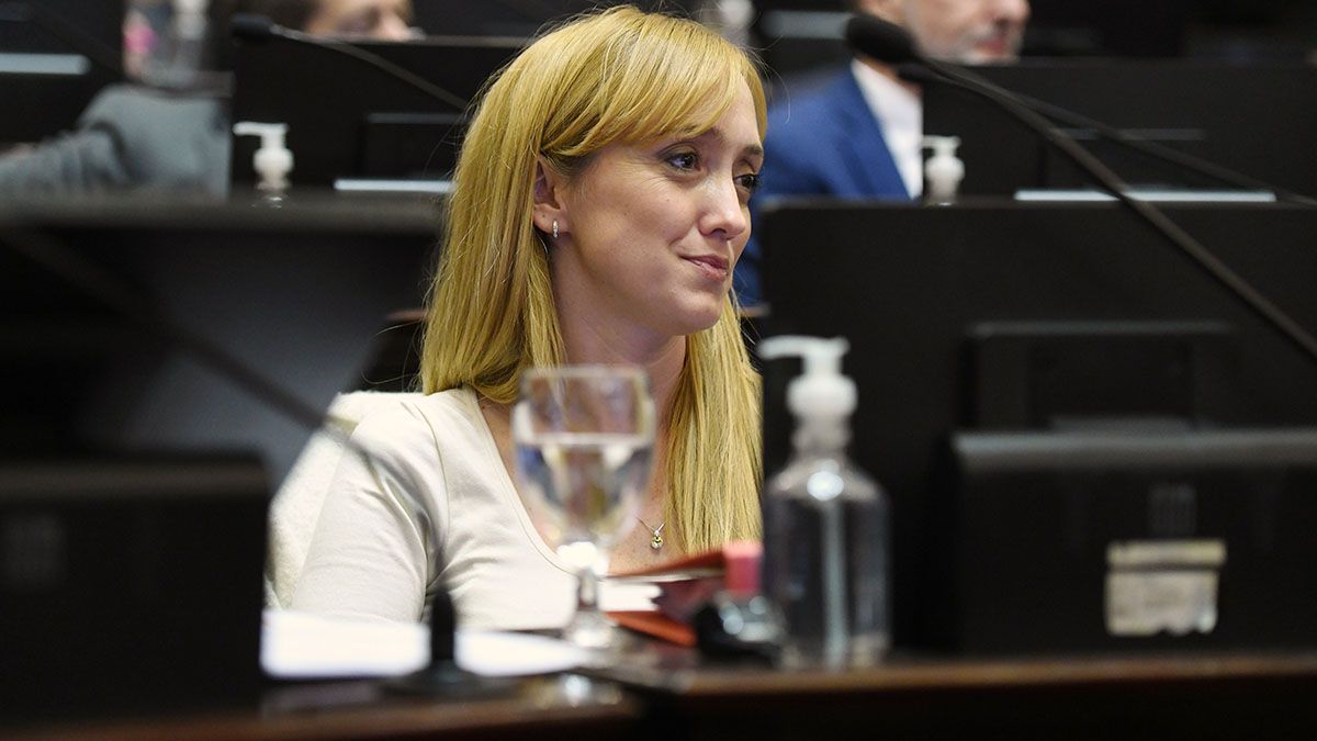 Böhm criticó a Anabel Fernández Sagasti. En parte, está relacionado a la ruptura que hizo CFK con algunos movimientos sociales tras pedir que se les quite la