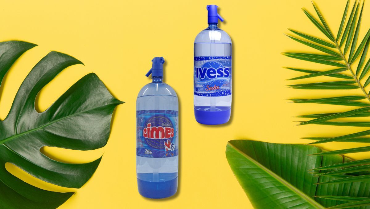 Aprende a reciclar los sifones de soda descartables gracias a esta maravillosa idea