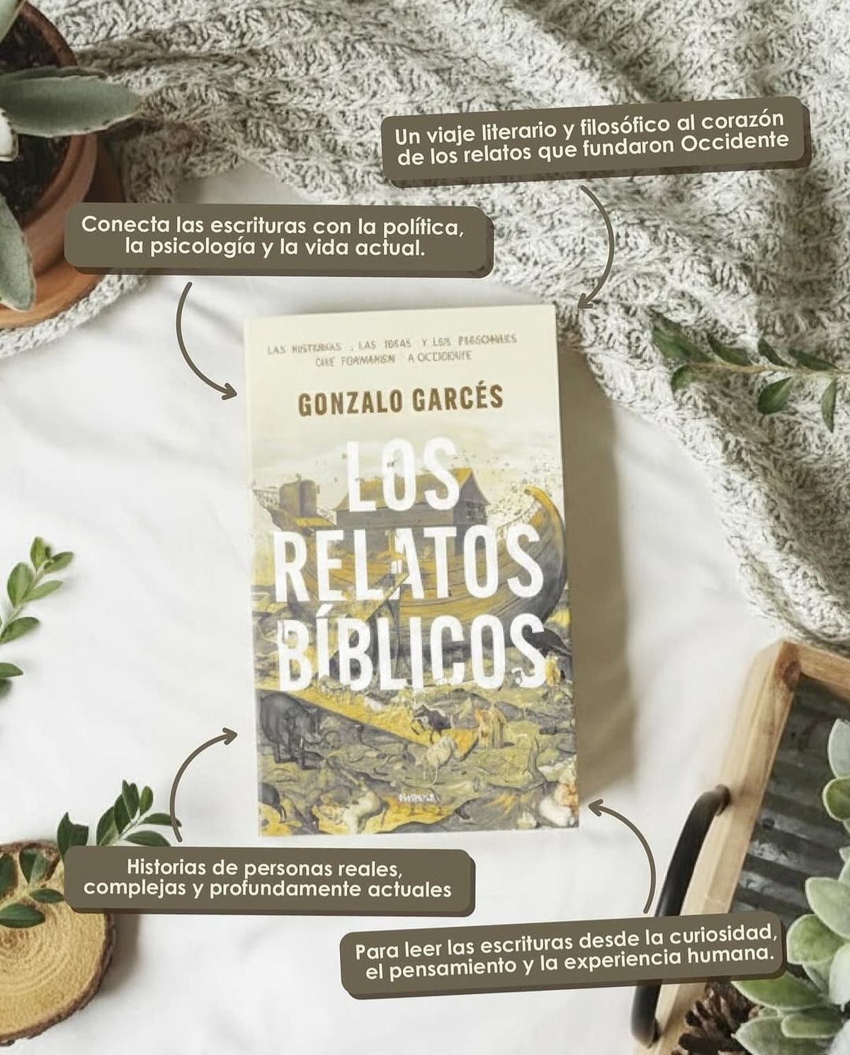 Tapa de Los relatos bíblicos, de Gonzalo Garcés. Tapa de Los relatos bíblicos, de Gonzalo Garcés.