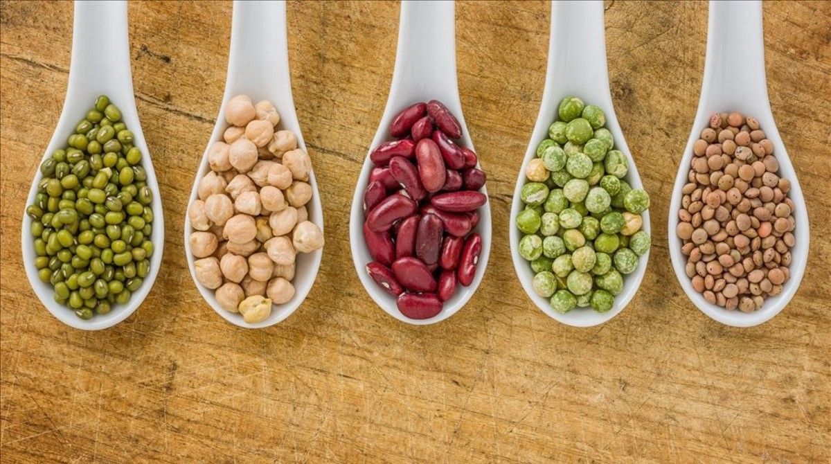 Las legumbres tienen baja densidad calórica y tienen alto poder de saciar el hambre, según expertos de Harvard. Las legumbres tienen baja densidad calórica y tienen alto poder de saciar el hambre, según expertos de Harvard.