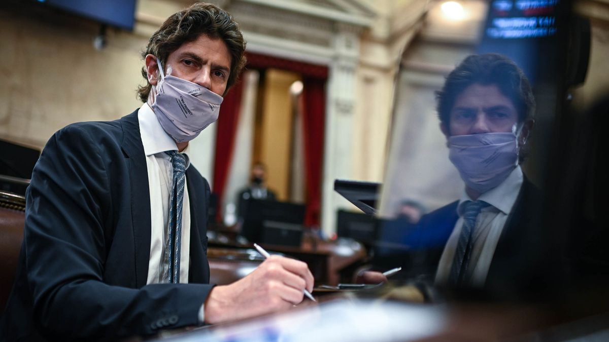 Martín Lousteau protagonizó este viernes un blooper en la reunión por videoconferencia de la Comisión de Justicia.