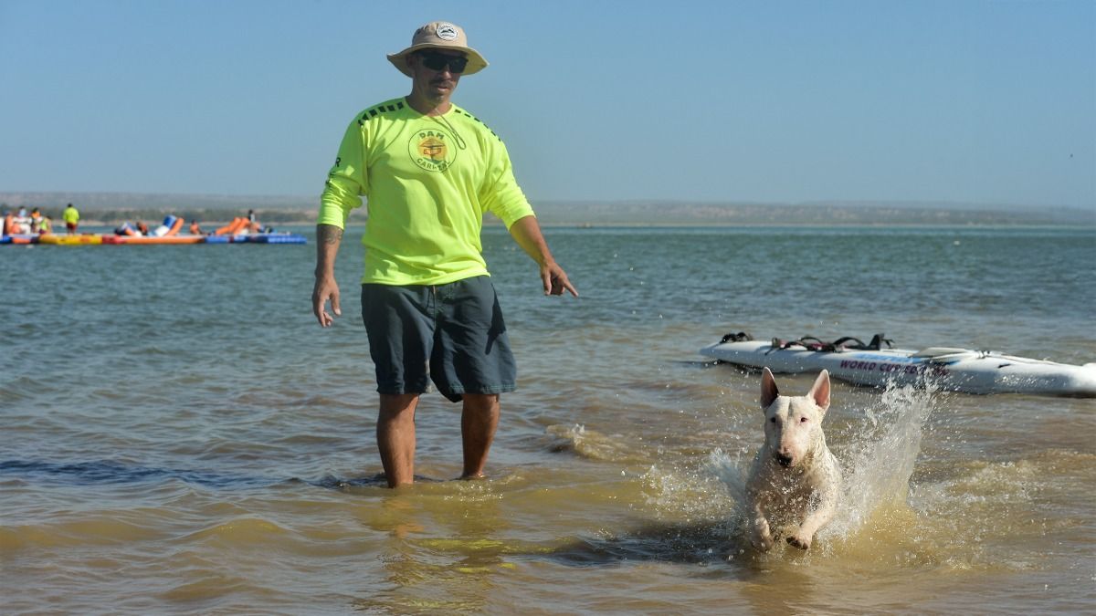 Hasta los animales buscan un buen lugar para pasar el verano. Hasta los animales buscan un buen lugar para pasar el verano.