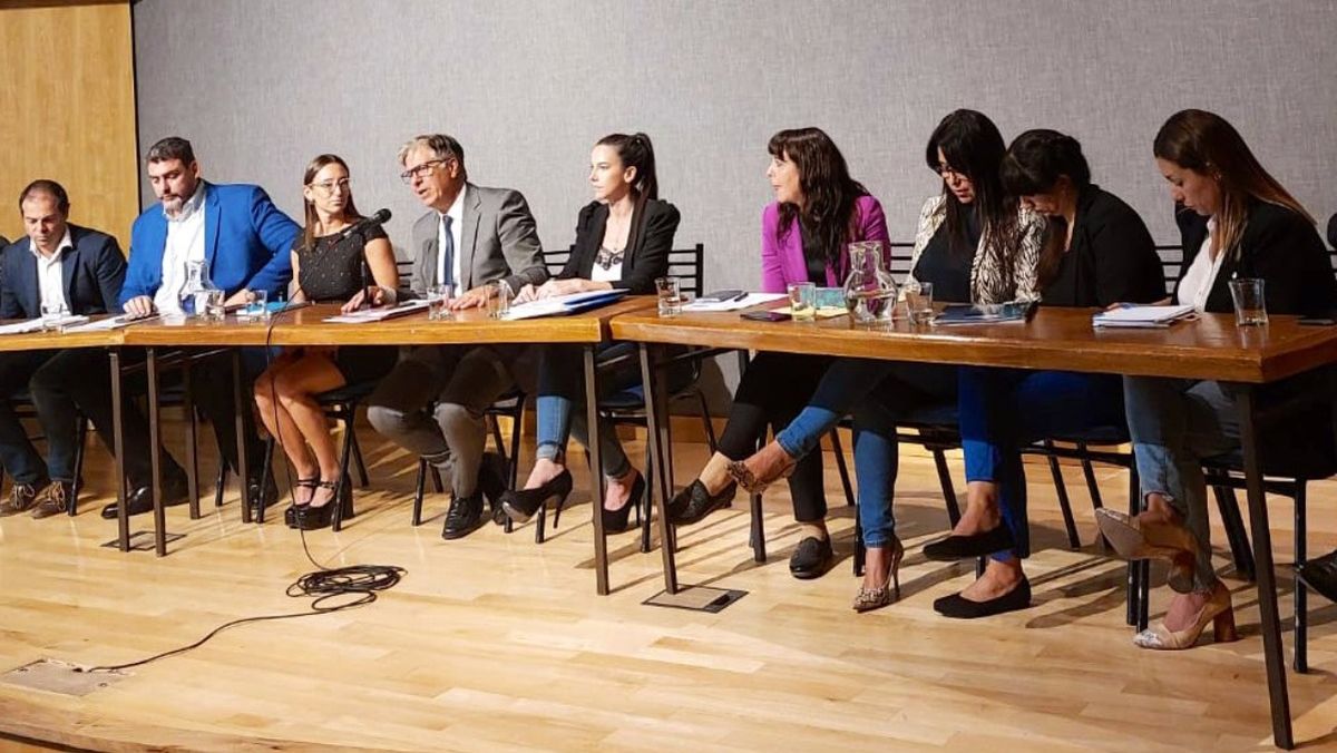 La audiencia pública del Senado, donde Torres fue avalada horas después de la ruptura de Omar De Marchi.