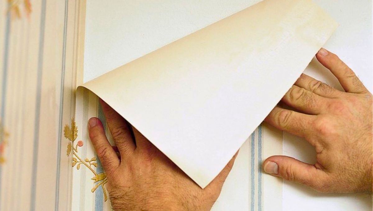 Utiliza vinilos de calidad, buen plástico e impermeables Utiliza vinilos de calidad, buen plástico e impermeables