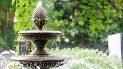 Explora las tendencias en jardinería para el 2025.