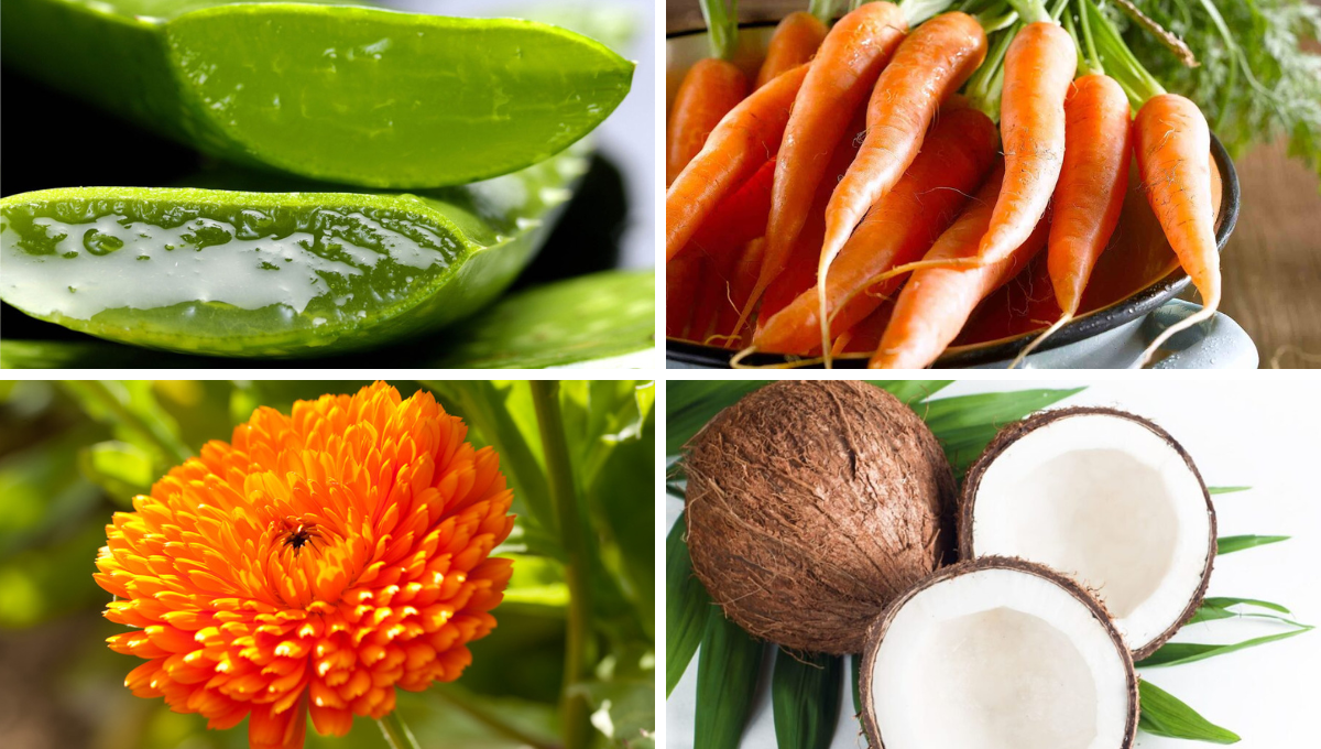 Toma aire para saber el remedio casero que reduce estrías fácil y rápido Toma aire para saber el remedio casero que reduce estrías fácil y rápido