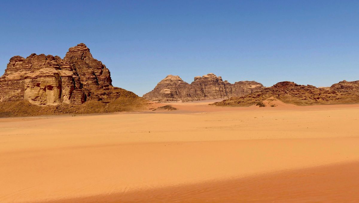¿Te has puesto a pensar a dónde hay calles sin vehículos, bosques sin árboles, y ciudades sin casas? Pista: no es el desierto. Fuente Canva ¿Te has puesto a pensar a dónde hay calles sin vehículos, bosques sin árboles, y ciudades sin casas? Pista: no es el desierto. Fuente Canva