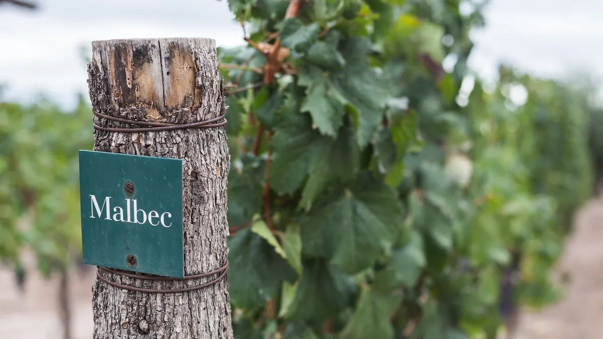 Ya se venden más de 1,5 millón de litros de vinos orgánicos al año en el país. Ya se venden más de 1,5 millón de litros de vinos orgánicos al año en el país.