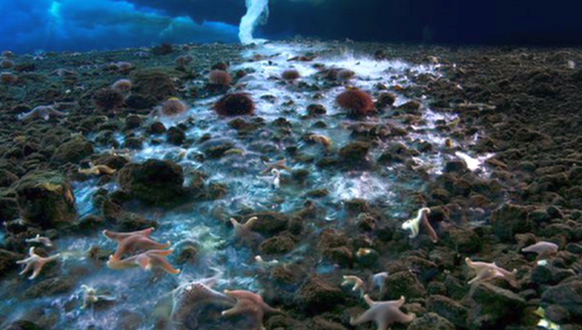 No todas las personas conocen de su existencia No todas las personas conocen de su existencia 