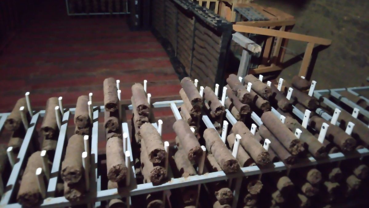 La leñan ecológica se vende en cajas de cinco kilos y vale 500 pesos. La leñan ecológica se vende en cajas de cinco kilos y vale 500 pesos.