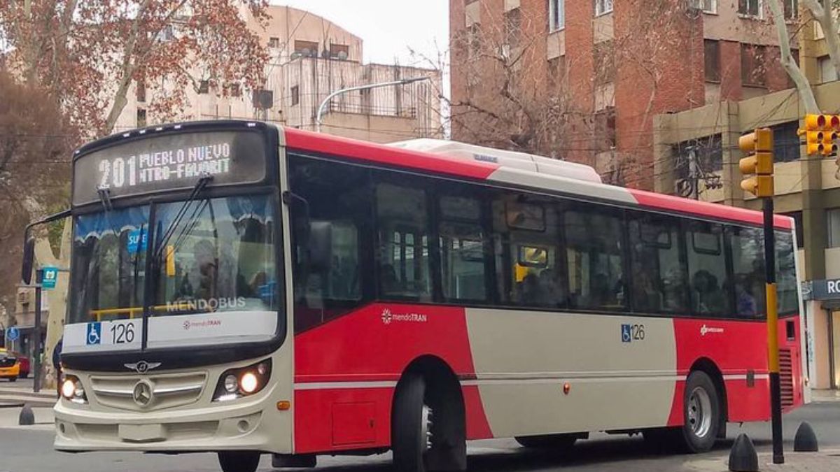 Inseguridad en Mendoza. La pelea en el micro de la línea 201 enfrentó a un joven armado con un cuchillo contra dos hermanos.