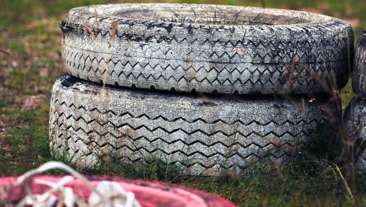 Cada año, millones de neumáticos dejan de usarse y se convierten en desechos altamente contaminantes. Frente a esta realidad, muchos hogares adoptan el reciclaje como alternativa creativa y sustentable. Cada año, millones de neumáticos dejan de usarse y se convierten en desechos altamente contaminantes. Frente a esta realidad, muchos hogares adoptan el reciclaje como alternativa creativa y sustentable.