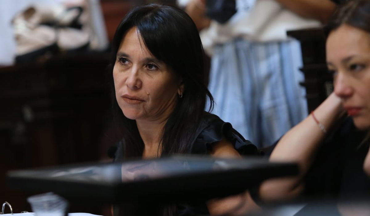Mercedes Derrache, una de las espadas del PJ en la Legislatura por el tema deuda. Solicitó información de qué números maneja la provincia en dólares. Mercedes Derrache, una de las espadas del PJ en la Legislatura por el tema deuda. Solicitó información de qué números maneja la provincia en dólares.