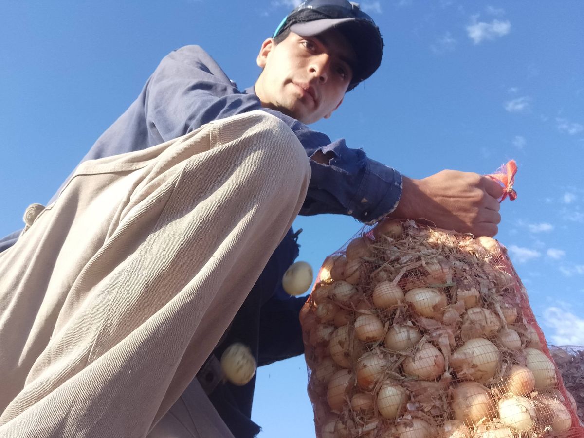 De la finca a Ámsterdam, para conocer la mirada de Ana Frank. Luciano vive en Tres Porteñas. Gentileza.