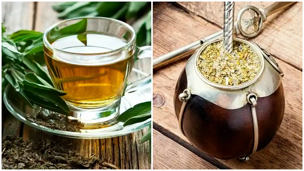 Mezclar yerba mate con té verde: por qué recomiendan hacerlo y para qué sirve Mezclar yerba mate con té verde: por qué recomiendan hacerlo y para qué sirve