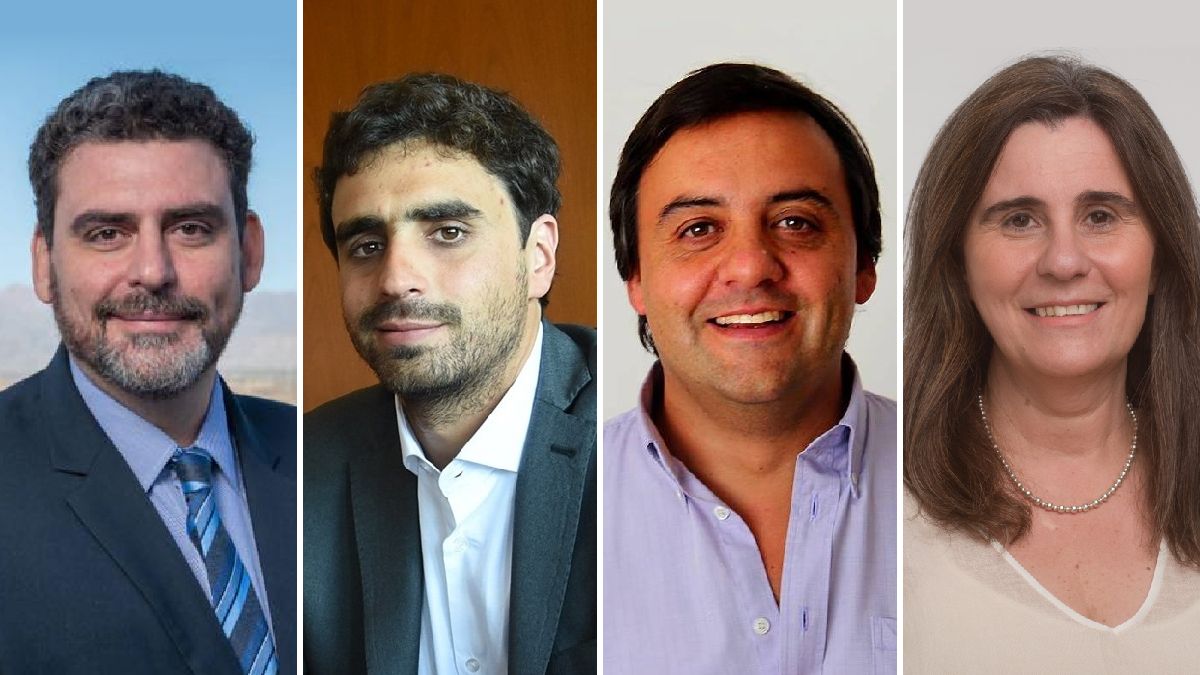 En la UCR de Luján se envalentonan al decir que tiene varios candidatos para competir por la intendencia. Entre ellos resaltan al senador Martín Kerchner, al secretario de Servicios Públicos, Natalio Mema, al concejal Carlos Sala y a la ministra de Salud, Ana María Nadal.&nbsp;