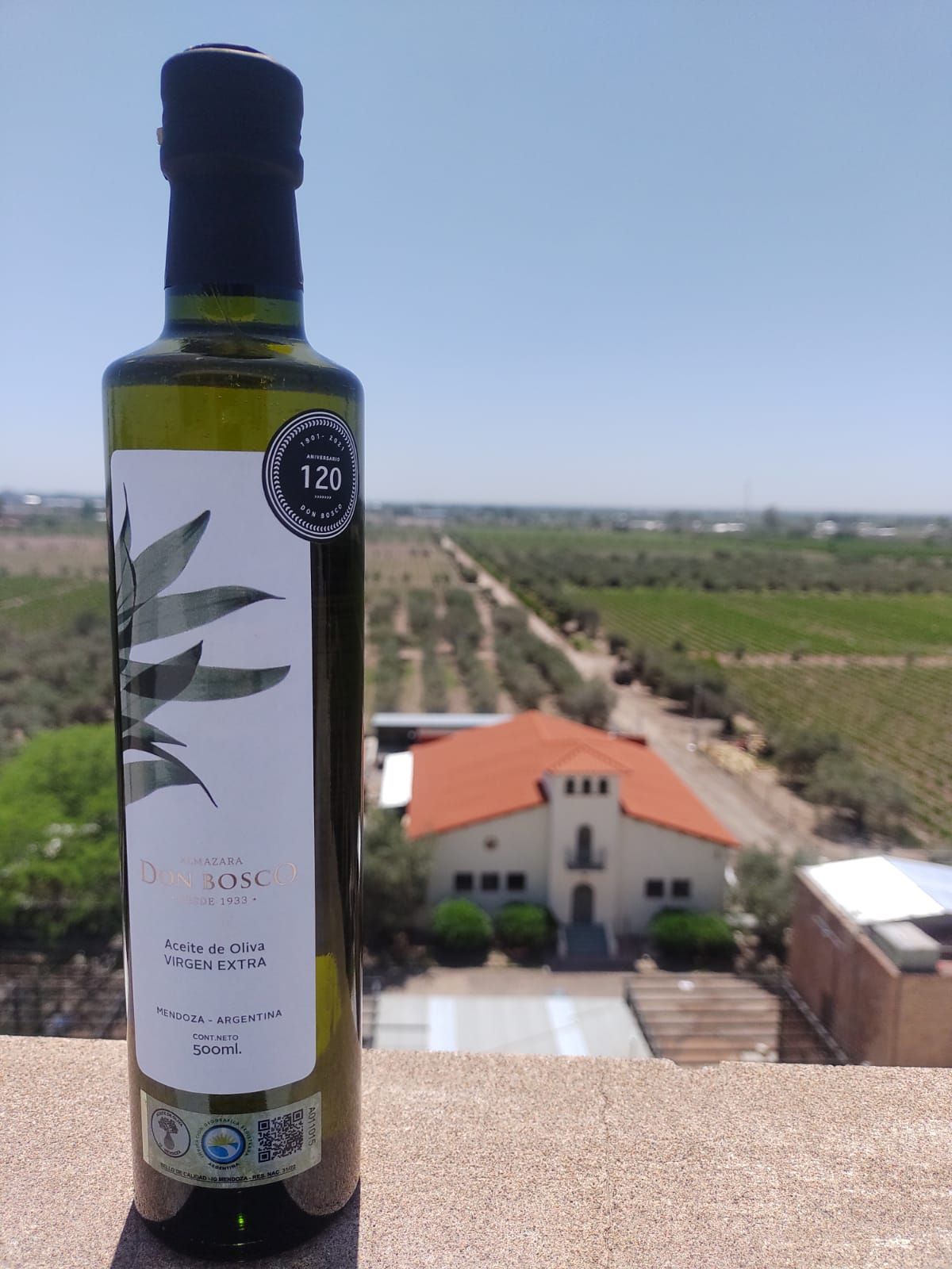 El aceite de oliva Don Bosco empezó a competir en concursos internacionales en 2020