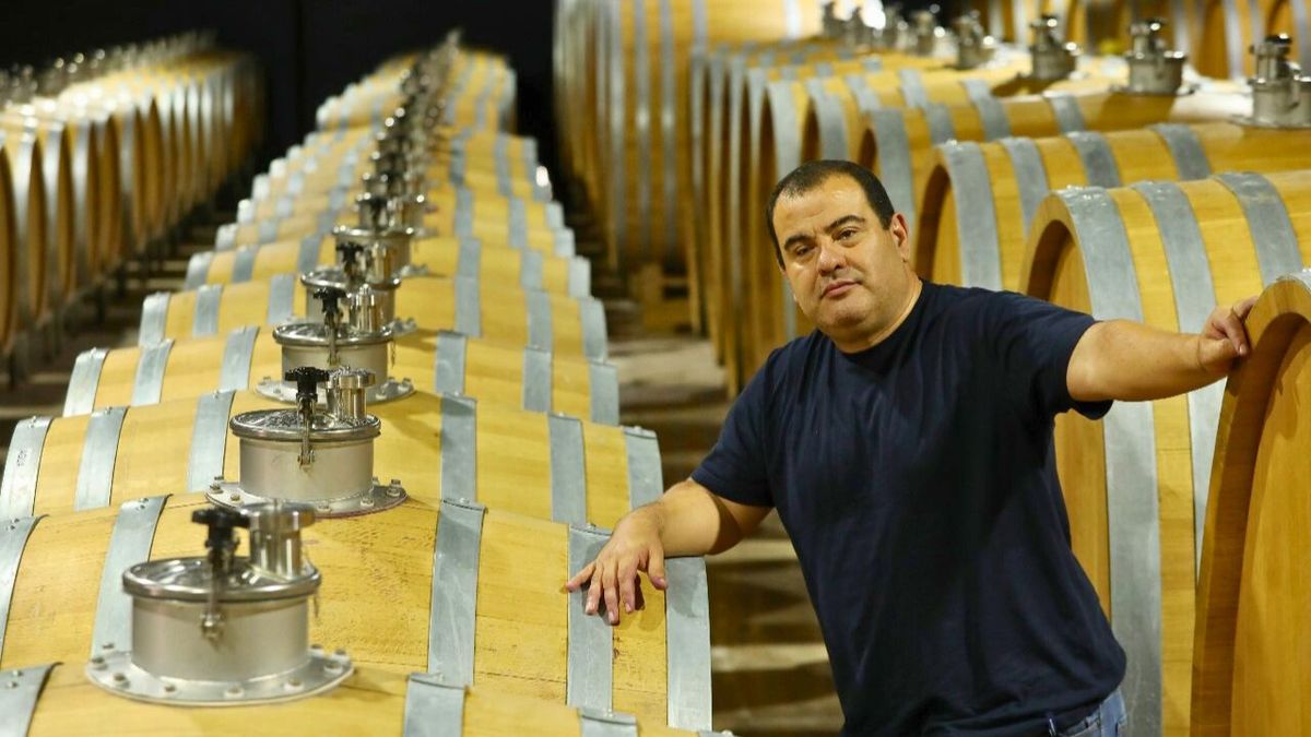 Veinte vendimias, una vida: Adrián Toledo, el mendocino que nació entre viñas y creó un vino de culto