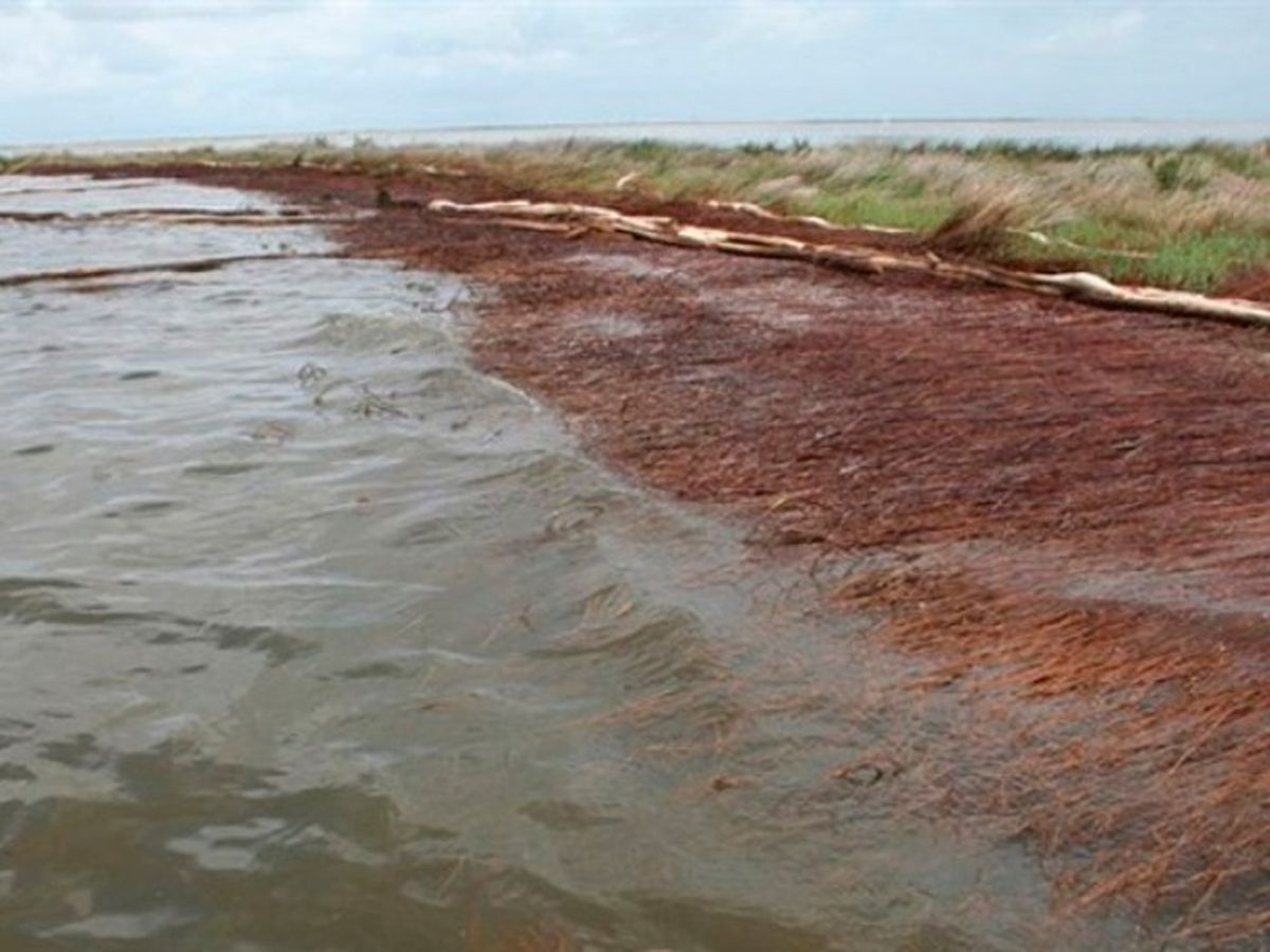 Estados Unidos debe resolver el problema antes de que la costa se retraiga y comience a causar más problemas. Imagen: iAgua Estados Unidos debe resolver el problema antes de que la costa se retraiga y comience a causar más problemas. Imagen: iAgua