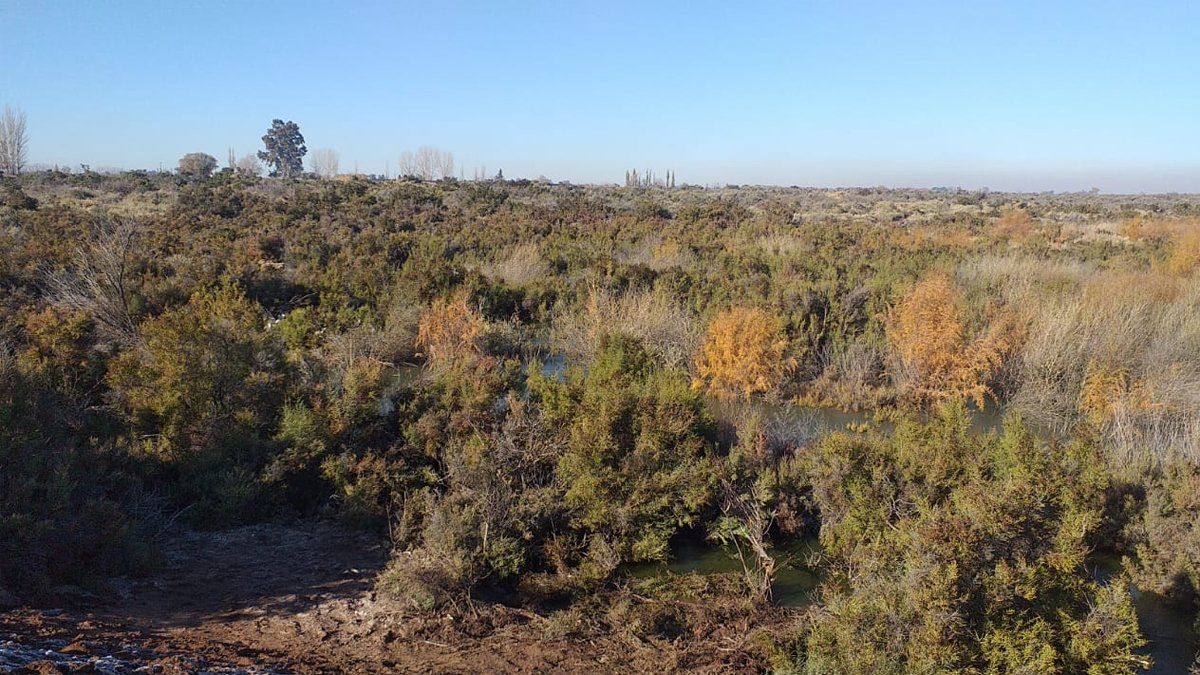 Este es el lugar donde encontraron los cuerpos de los hermanos Álvarez. Este es el lugar donde encontraron los cuerpos de los hermanos Álvarez.