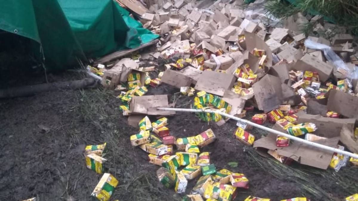 La carga salió desde San Rafael e iba con destino a Resistencia, Chaco. La carga salió desde San Rafael e iba con destino a Resistencia, Chaco.