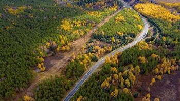En 1962, China envió 369 jóvenes a plantar árboles a un desierto: tres generaciones después, crearon el bosque artificial más grande del planeta