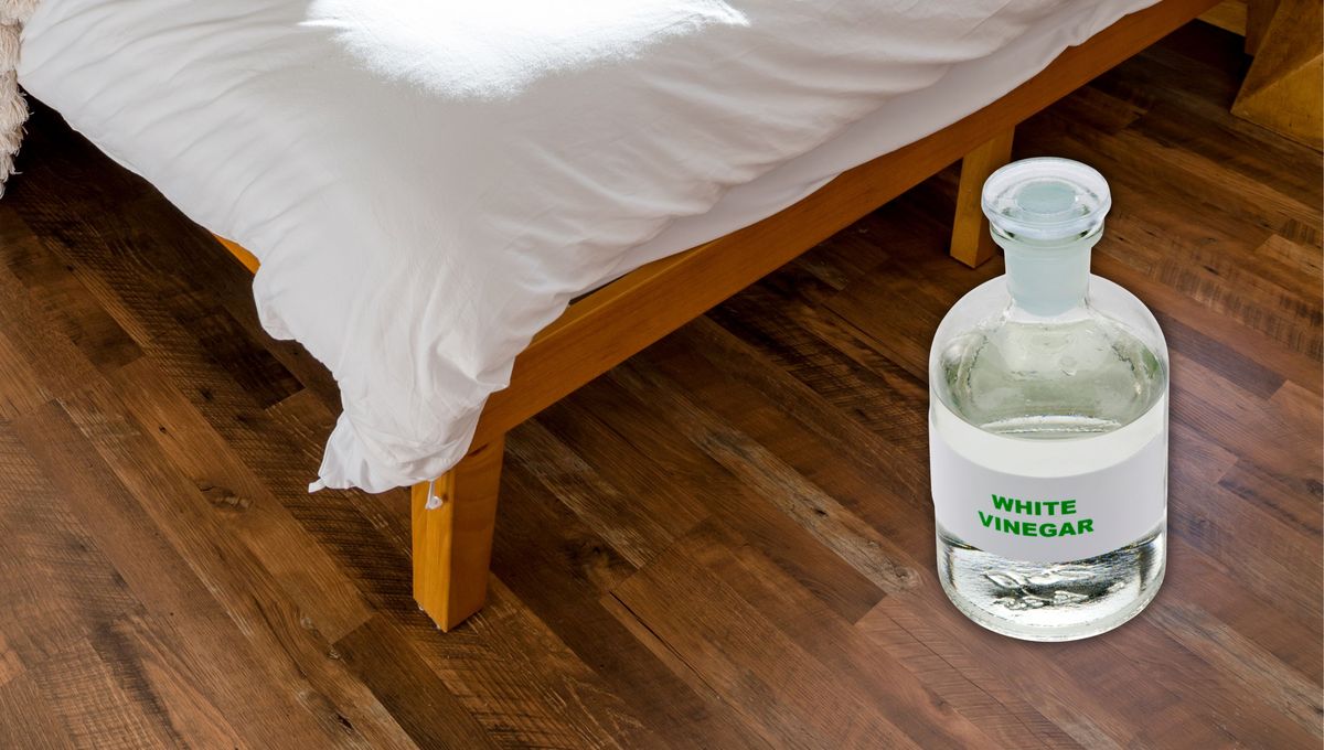 Coloca vinagre alrededor de las patas de la cama para desinfectar este rincón remoto. Coloca vinagre alrededor de las patas de la cama para desinfectar este rincón remoto. 