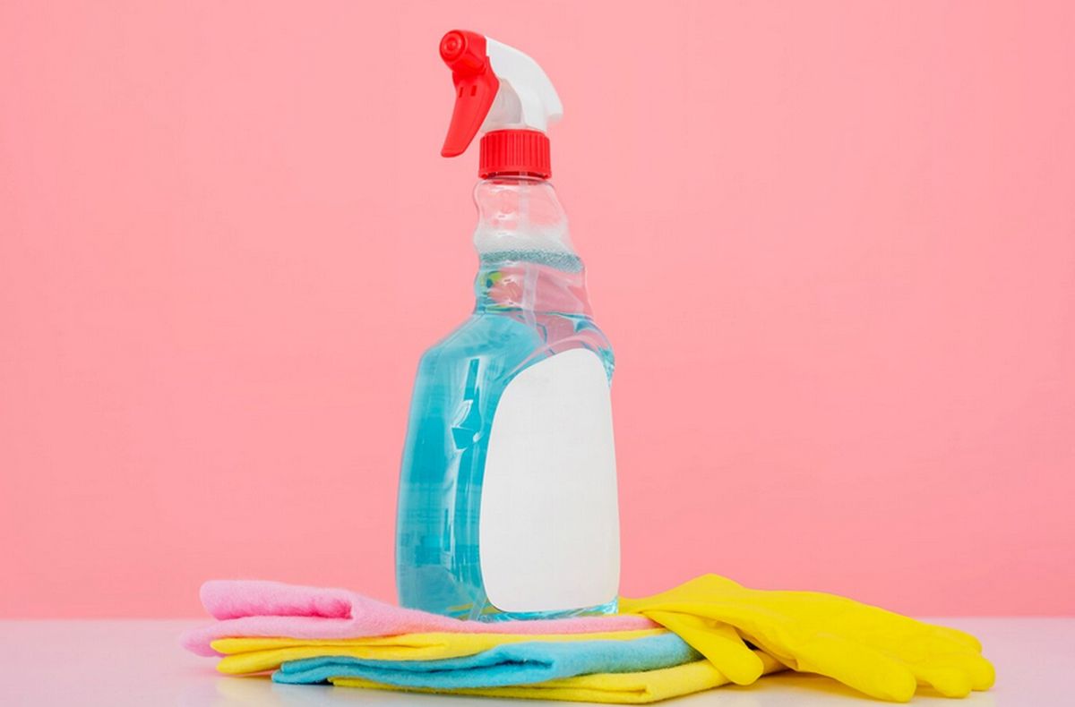 EMPLEADAS DOMÉSTICAS: cuánto será el AGUINALDO con el AUMENTO de junio 2024 EMPLEADAS DOMÉSTICAS: cuánto será el AGUINALDO con el AUMENTO de junio 2024