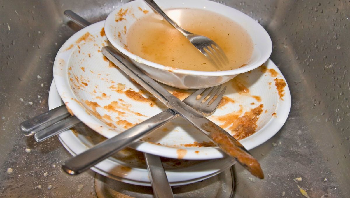 No son malas ni buenas formas de mantener la vajilla seca; ambos métodos tienen sus pros y contras. No son malas ni buenas formas de mantener la vajilla seca; ambos métodos tienen sus pros y contras.