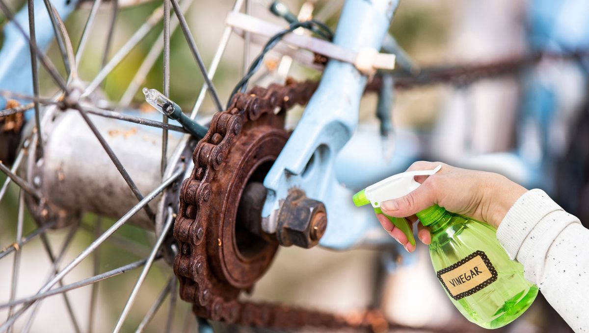 Coloca vinagre en la cadena de la bicicleta para eliminar los pegotes y el óxido. Coloca vinagre en la cadena de la bicicleta para eliminar los pegotes y el óxido. 
