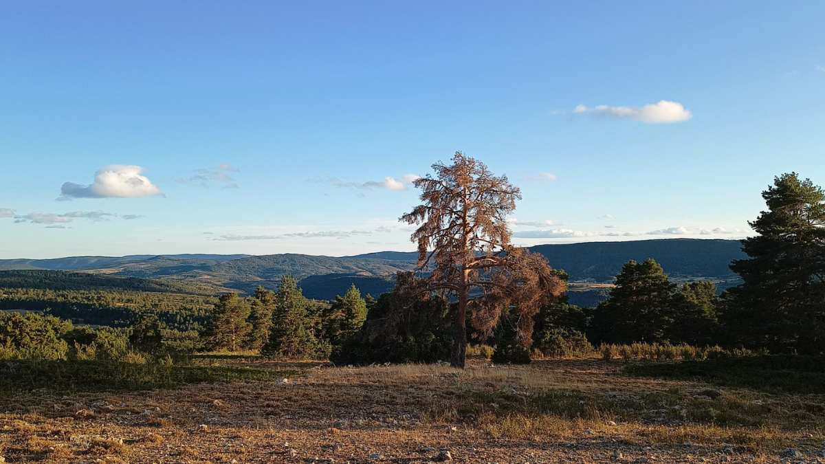 Este pueblo de España ofrece una suma de dinero en euros a nuevos pobladores. Este pueblo de España ofrece una suma de dinero en euros a nuevos pobladores.