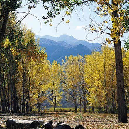 Otoño en Potrerillos