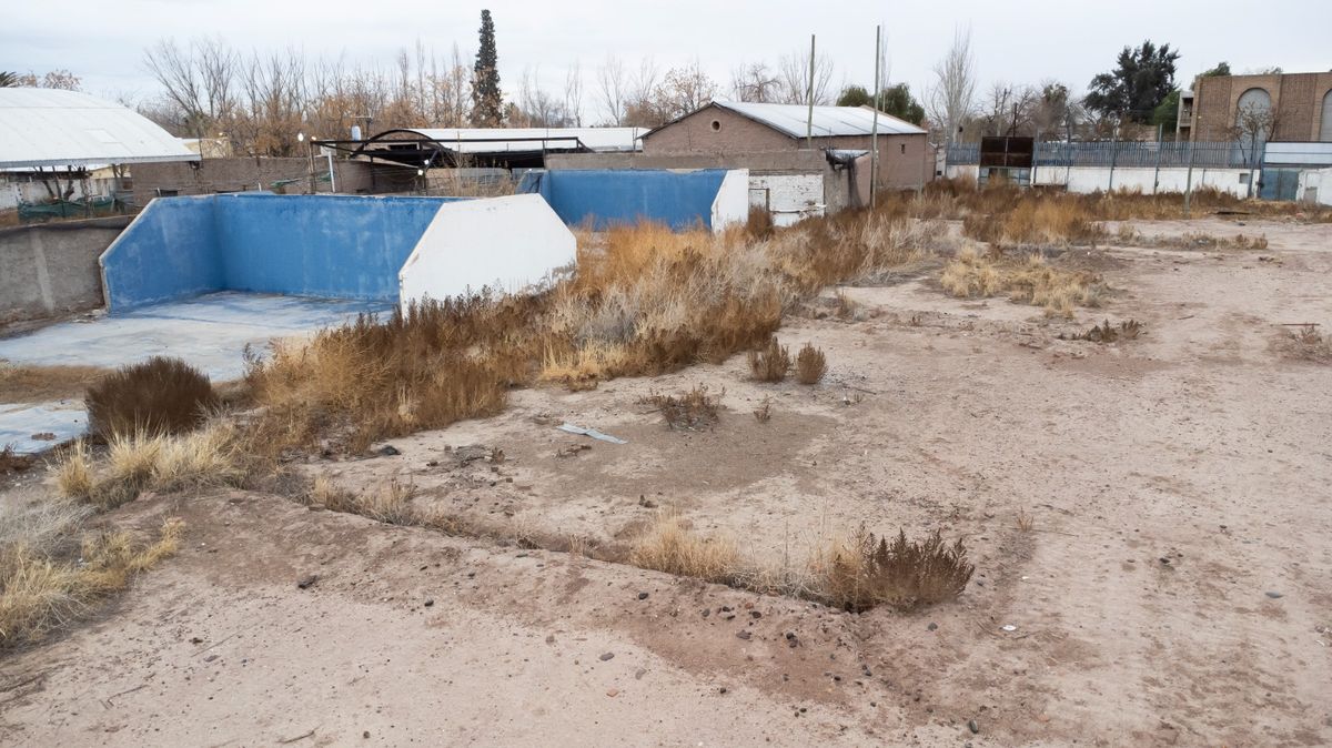 Sólo quedan algunas paredes levantadas, tierra y yuyos en el predio en el que Gil Pereg vivió y asesinó a su madre y a su tía. Sólo quedan algunas paredes levantadas, tierra y yuyos en el predio en el que Gil Pereg vivió y asesinó a su madre y a su tía.