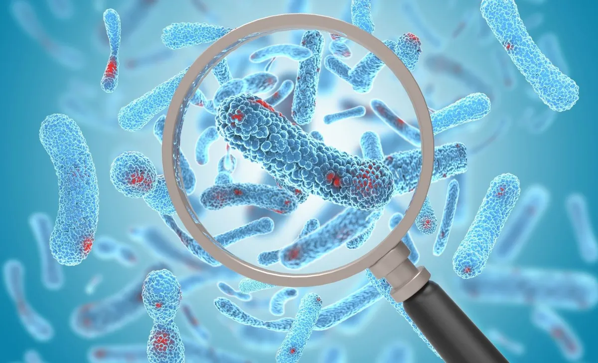 El estudio marca que la evoluci&oacute;n de las bacterias es la culpable de la p&eacute;rdida de efectividad de los antibi&oacute;ticos.