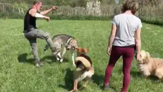 Las imágenes de maltrato animal de parte de Claudio Mangini recorrieron el mundo.