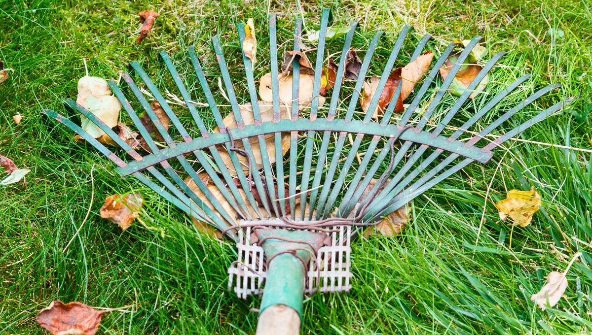 Un rastrillo que ya no sirve puede ser usado en la cocina o sala para colgar tus copas de vino Un rastrillo que ya no sirve puede ser usado en la cocina o sala para colgar tus copas de vino