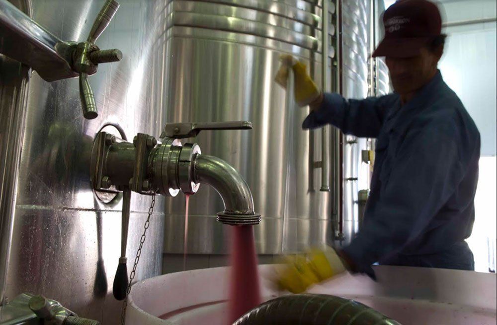 Unos 25 millones de litros de vino mendocino, a España