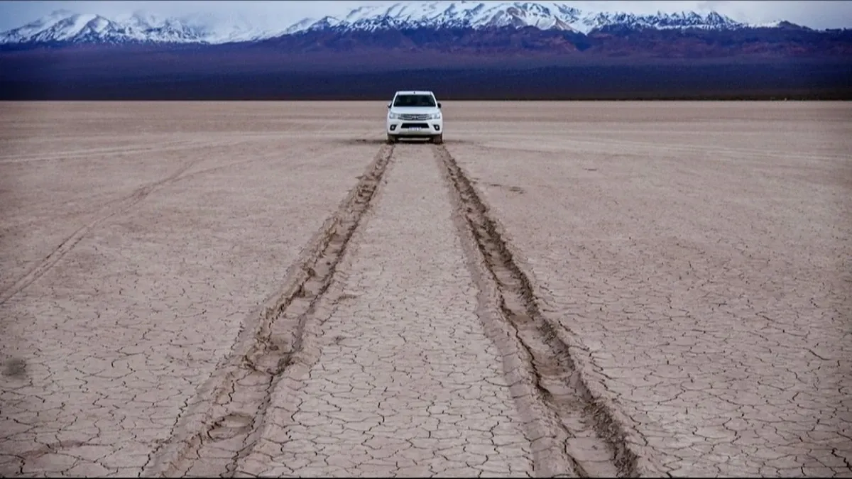 Los neumáticos provocaron incisiones de 8 centímetros de profundidad que afectaron la corteza natural del área protegida.  