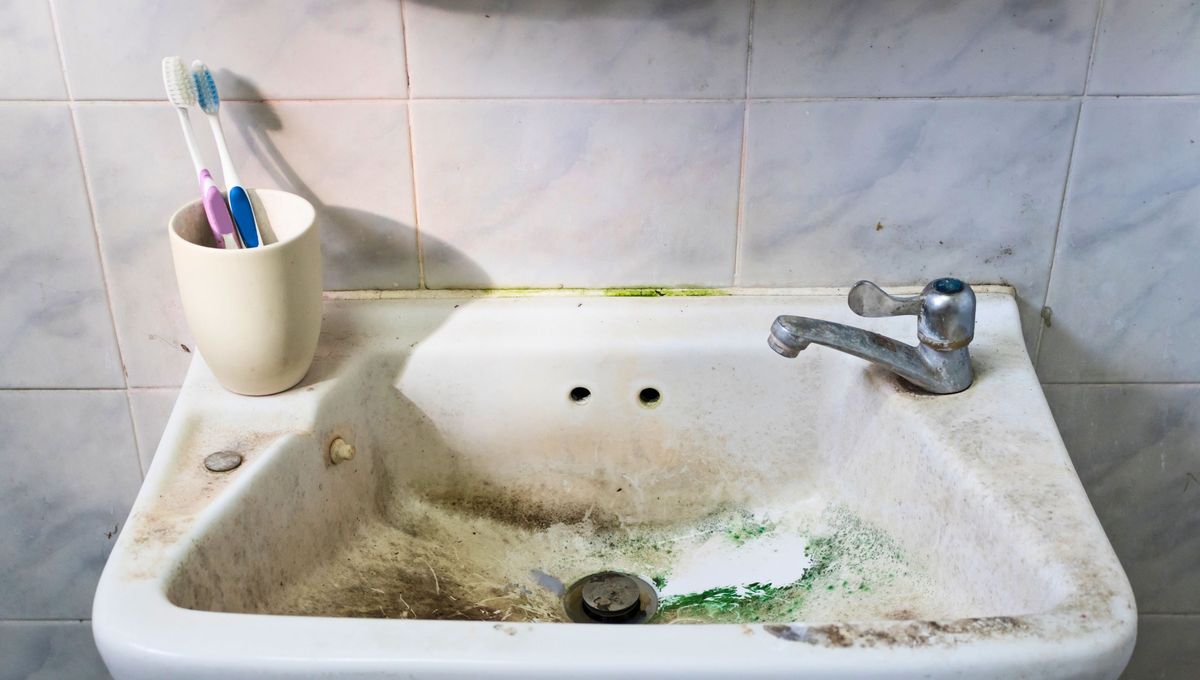 Realiza este procedimiento una vez por semana y evita que se acumule agua en el vaso del cepillo. Realiza este procedimiento una vez por semana y evita que se acumule agua en el vaso del cepillo. 