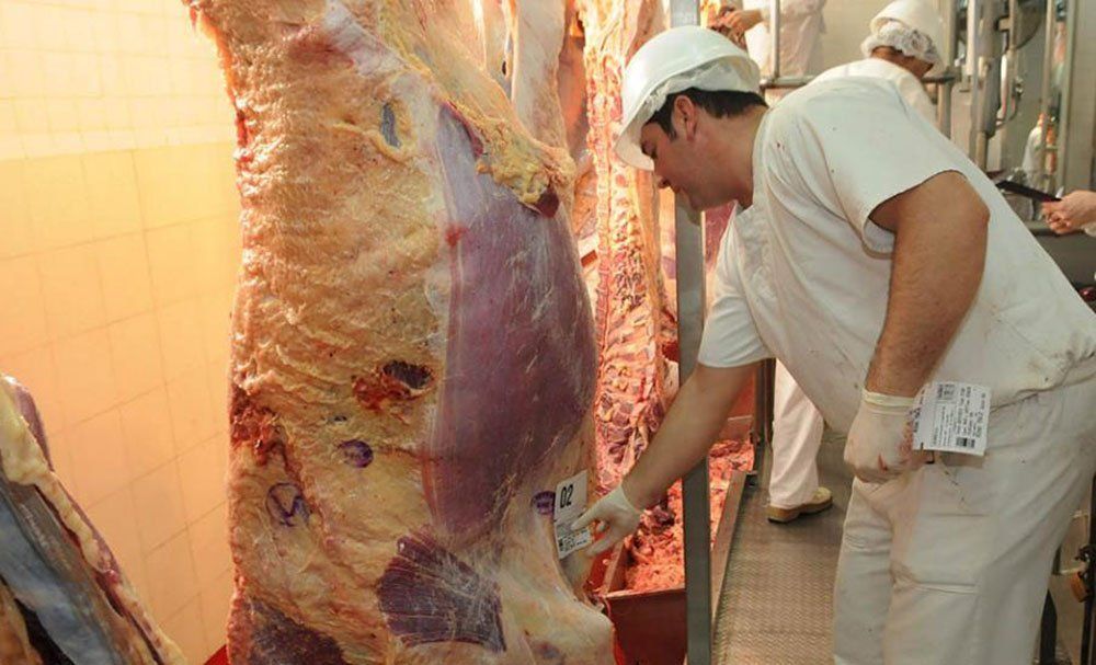 Gremio de la carne para por 48 horas: podría faltar carne y pollo