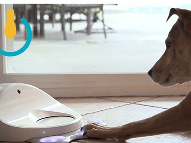 Un dispensador de comida que hará a tu perro más inteligente