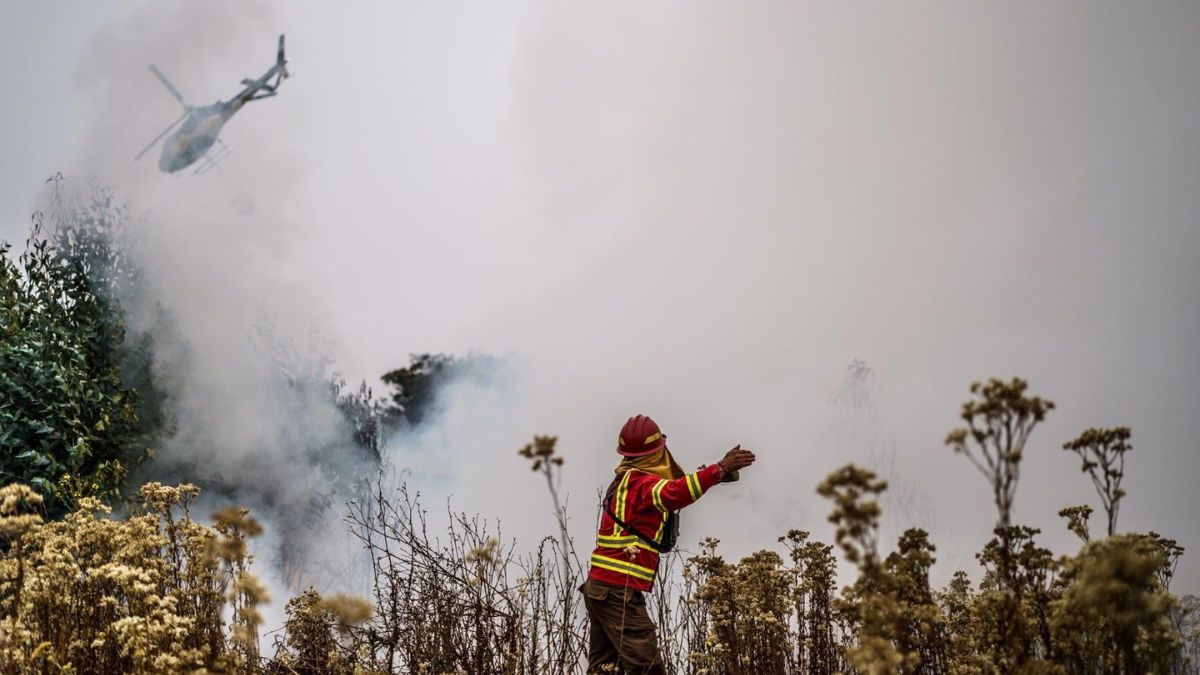 Asciende a 99 cifra de muertos por incendios forestales en Valparaíso