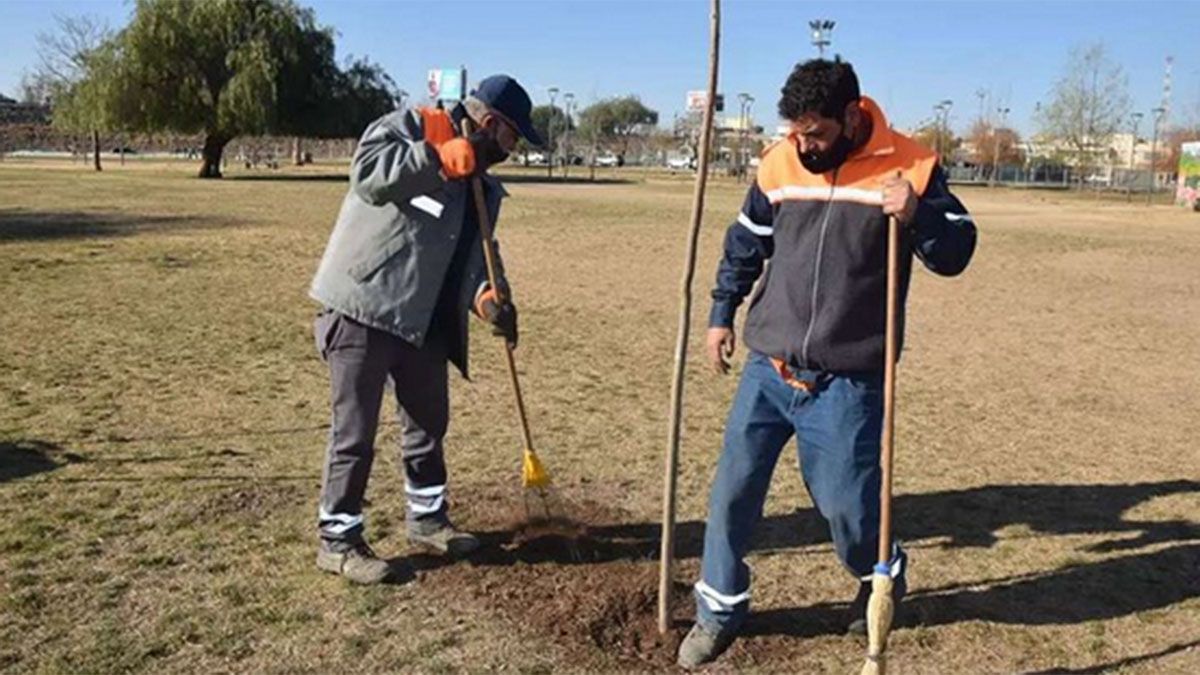 Los trabajos comunitarios como forma de pago de una multa en Godoy Cruz se definirán en base a la actividad a la que se dedique el infractor.