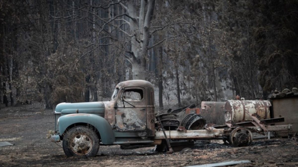 Bosques incendiados en California. (Foto: Manuel Ortiz para https://migracionesclimaticas.org/)